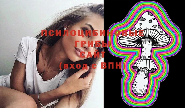 не бодяженный Медногорск