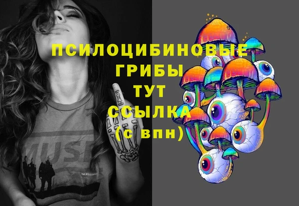 экстази Медвежьегорск
