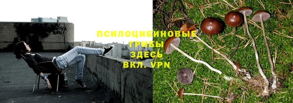 не бодяженный Мегион