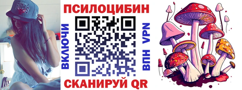 Галлюциногенные грибы Psilocybine cubensis  как найти закладки  Мещовск 